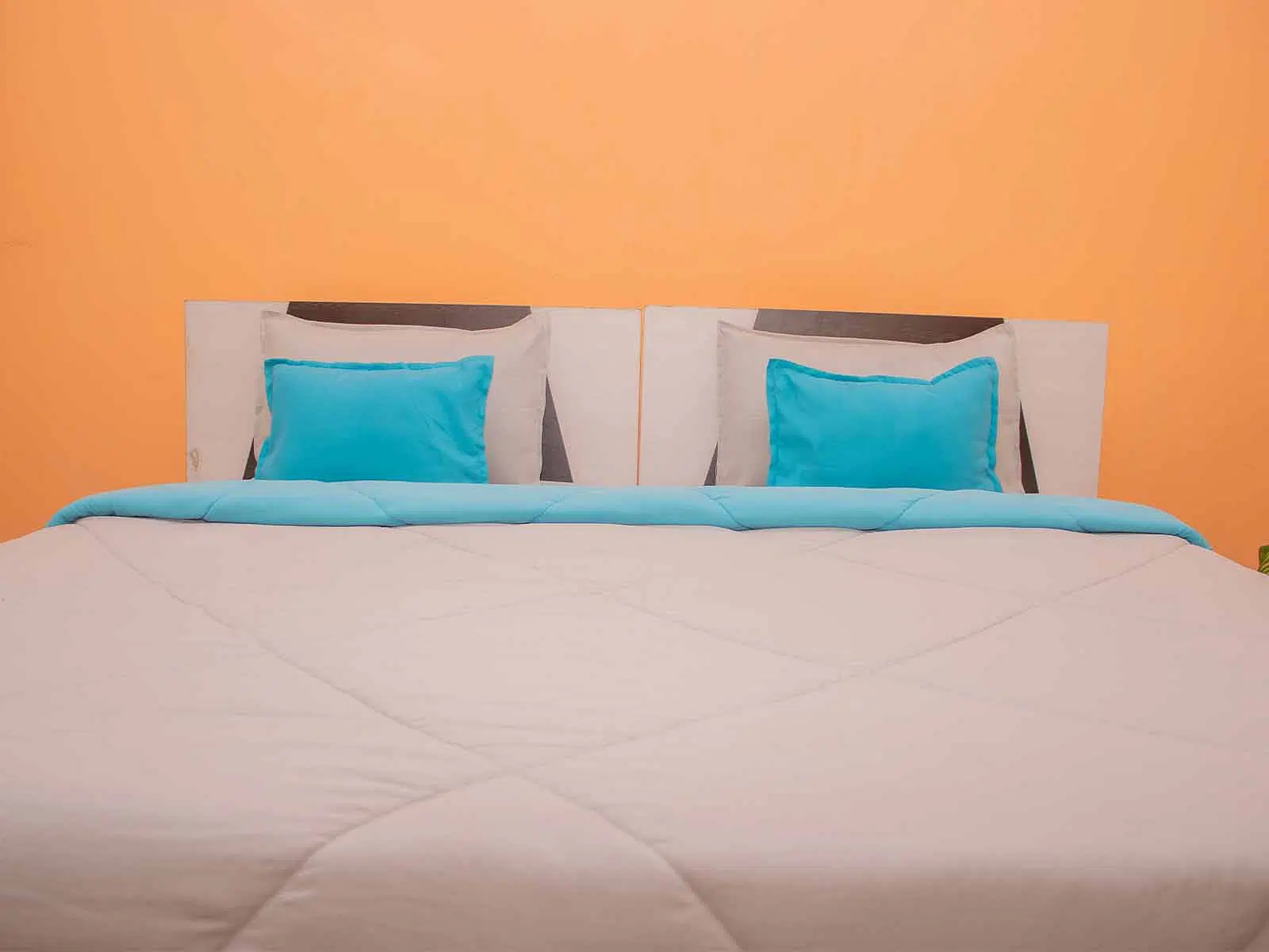 All-day Dining Restaurant